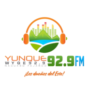 Yunque 93